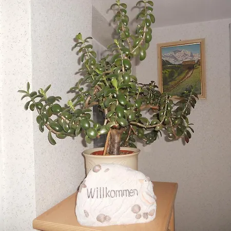 Ferienhaus In Hafennähe Apartment